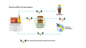 Esquema de Relaciones B2B en los Agronegocios